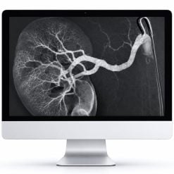 ARRS Case-Based Subspecialty Review 2021