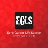 ECHO-Guided Life Support Using ultrasound to categorise shock and guide initial management ECHO-Guided Life Support Using ultrasound to categorise shock and guide initial management