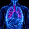 Harvard Pulmonary and Critical Care Medicine 2022 Harvard Pulmonary and Critical Care Medicine 2022