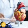 The Brigham Board Review and Comprehensive Update in Cardiology 2023