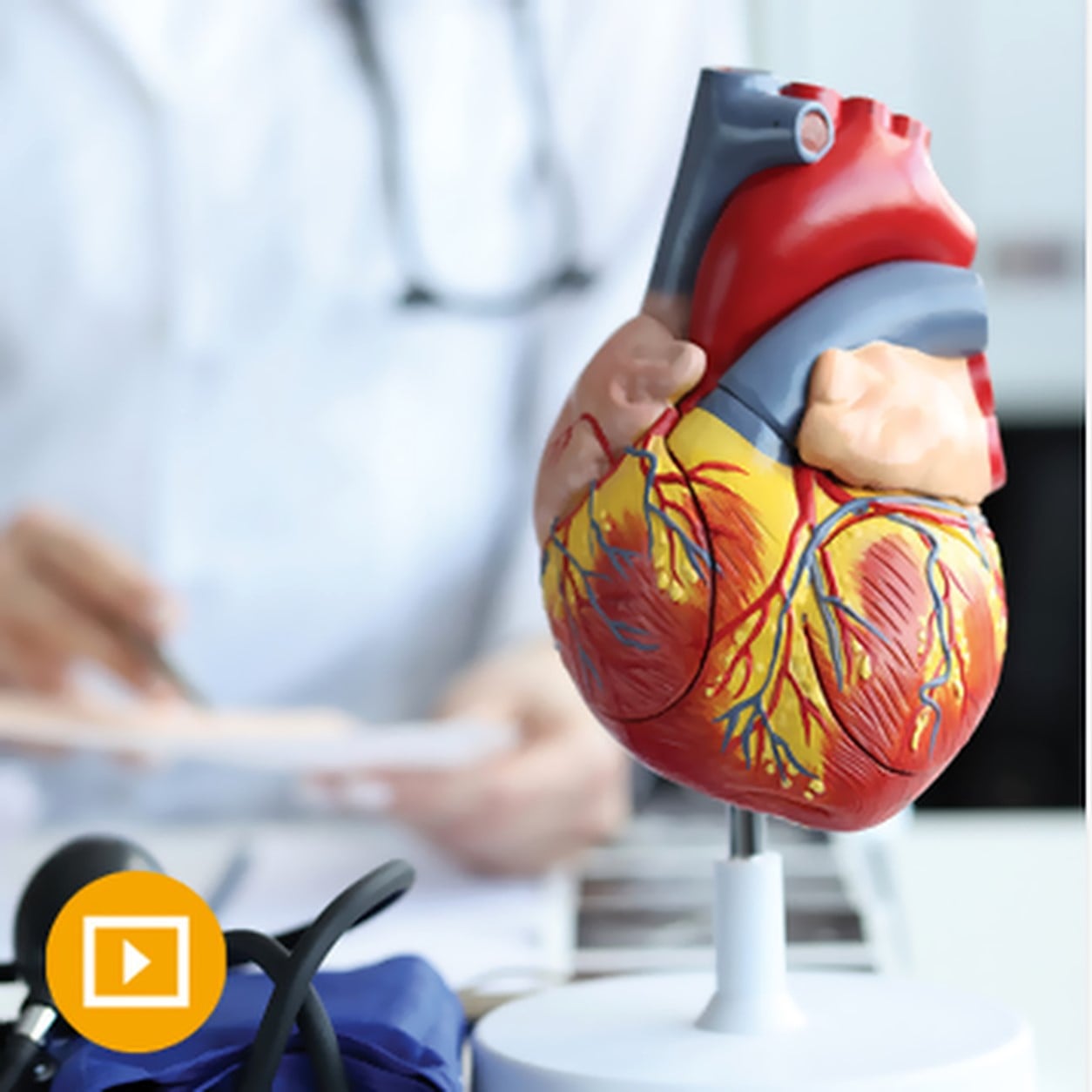 The Brigham Board Review and Comprehensive Update in Cardiology 2023 The Brigham Board Review and Comprehensive Update in Cardiology 2023