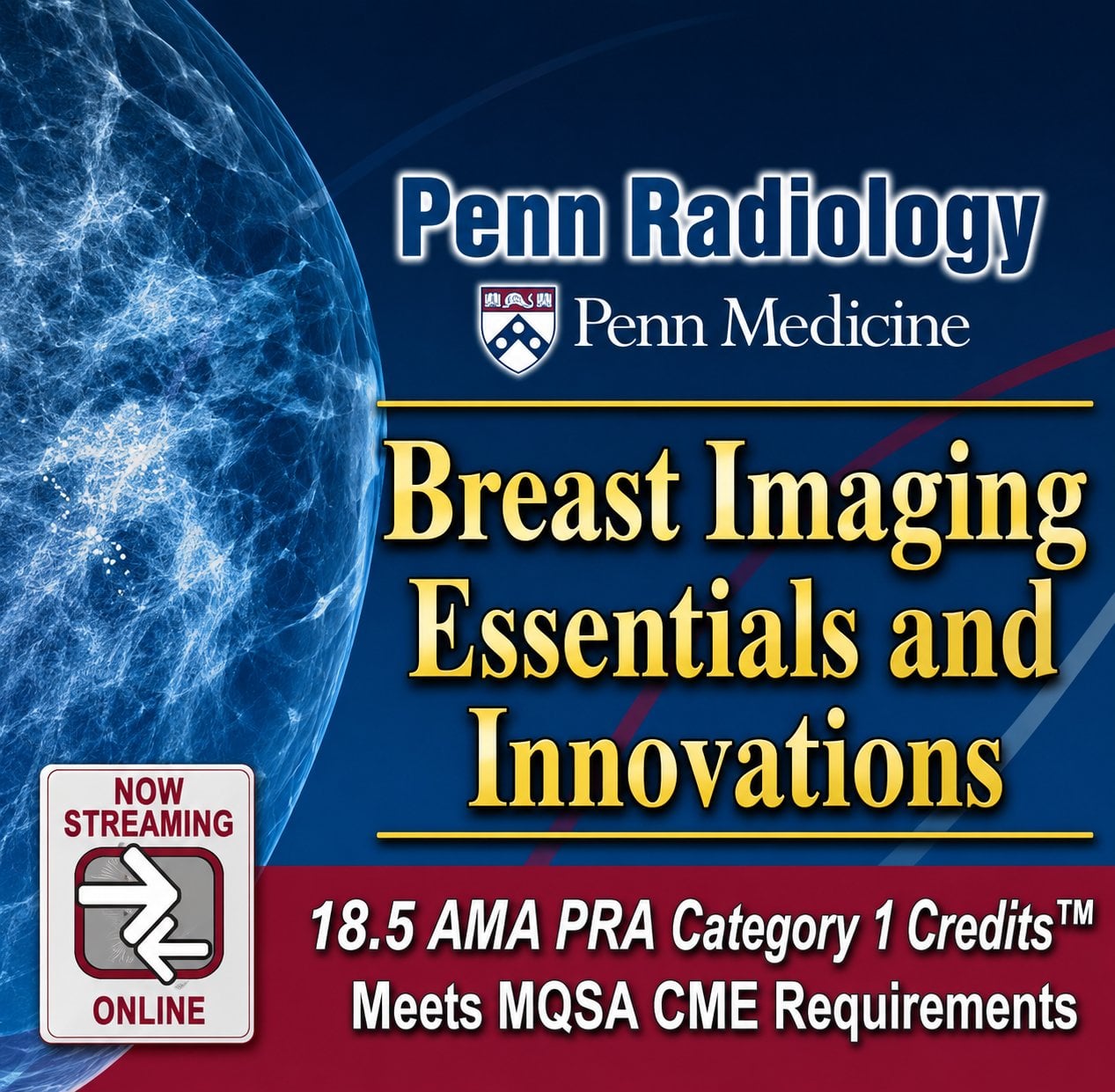 Meetings By Mail Penn Radiology Breast Imaging Essentials and Innovations 2024 Meetings By Mail Penn Radiology Breast Imaging Essentials and Innovations 2024