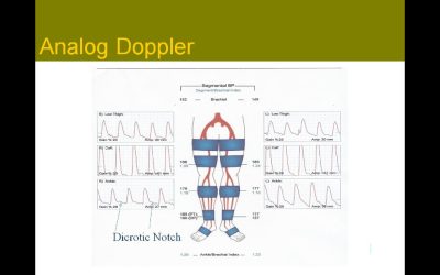 Sonographic Principles and Instrumentation: A Comprehensive Review