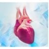 Cardiac Surgery Certification (CSC) Review Course 2022 (Videos + Slides + Quiz) Cardiac Surgery Certification (CSC) Review Course 2022 (Videos + Slides + Quiz)