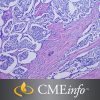 Pancreatic Pathology – Masters of Pathology Series 2019 (CME Videos) 0002067 pancreatic pathology 300