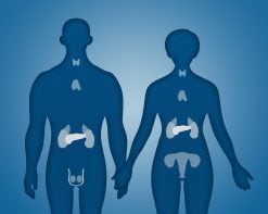 Endocrine and Nutrition