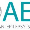 AES 2020: A New Virtual Event from the American Epilepsy Society AES 2020: A New Virtual Event from the American Epilepsy Society
