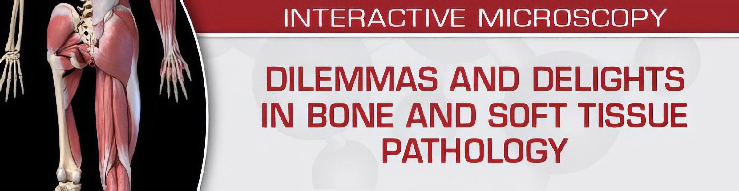 USCAP Dilemmas and Delights in Bone and Soft Tissue Pathology 2023