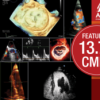 ASE Advanced Echo Virtual Experience 2023 ASE Advanced Echo Virtual Experience 2023