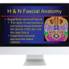 American Roentgen Ray Society The Suprahyoid Neck Pathology Through Anatomy 2023 American Roentgen Ray Society The Suprahyoid Neck Pathology Through Anatomy 2023