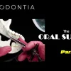 Exodontia Comprehensive Oral Surgery – Jason Hoium Module 1-13 Exodontia Comprehensive Oral Surgery – Jason Hoium Module 1-13