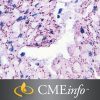 Gastropathology Masters Of Pathology Series 2021 Gastropathology Masters Of Pathology Series 2021 (Videos)