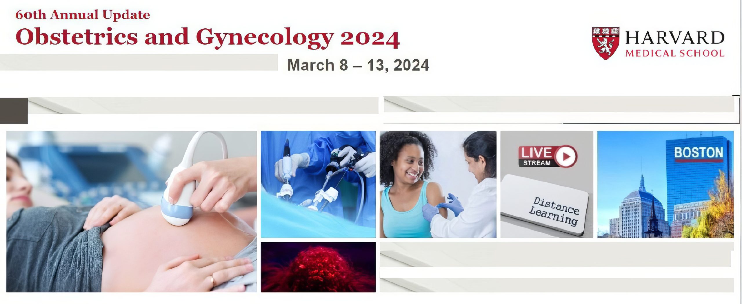 Harvard 60th Annual Update Obstetrics and Gynecology 2024 Harvard 60th Annual Update Obstetrics and Gynecology 2024