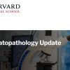 Harvard Dermatopathology Update 2023 Harvard Dermatopathology Update 2023