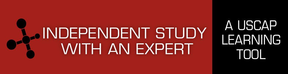 Independent Study with an Expert Independent Study with an Expert