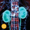 oakstone Intensive Review of Nephrology 2021 oakstone Intensive Review of Nephrology 2021
