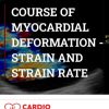 Morcerf Course of Myocardial Deformation – Strain and Strain Rate 2020 Morcerf Course of Myocardial Deformation – Strain and Strain Rate 2020