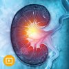 Intensive Review of Nephrology 2022 Oakstone Intensive Review of Nephrology 2022 768x768 1