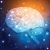 Psychopharmacology for Primary Care Physicians 2024 Oakstone Psychopharmacology for Primary Care Physicians 2024