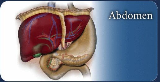 Pegasus Lectures Complete Abdomen Review eCourse Pegasus Lectures Complete Abdomen Review eCourse