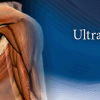 Pegasus Musculoskeletal Ultrasound eCourse 2023 Pegasus Musculoskeletal Ultrasound eCourse 2023 Videos