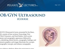 Pegasus Vascular Technology Review 2022 Pegasus Vascular Technology Review 2022 1