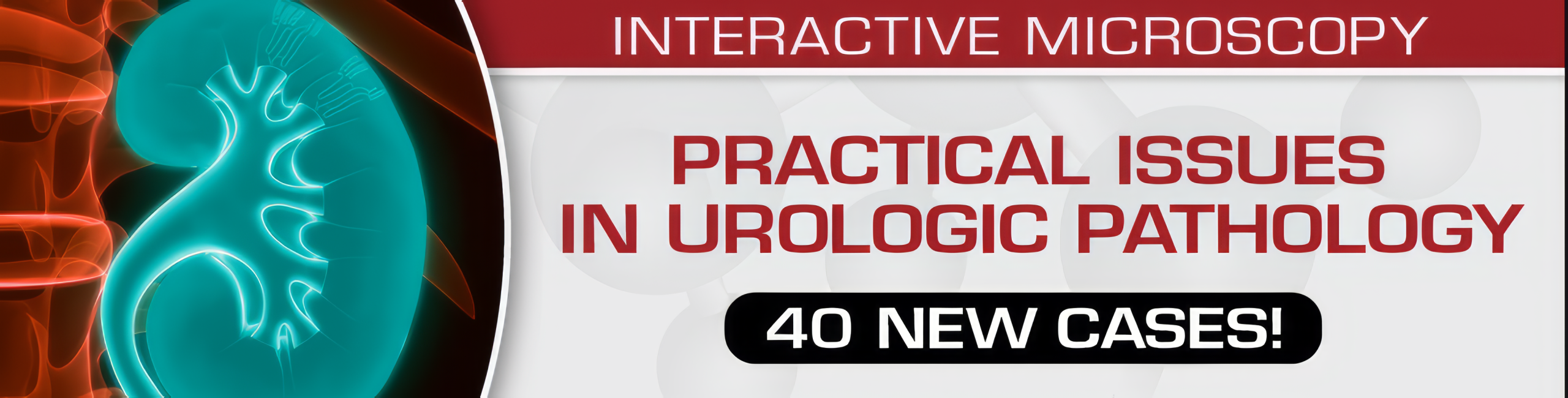 Practical Issues In Urologic Pathology – 40 New Cases! 2021 (Videos) Practical Issues In Urologic Pathology – 40 New Cases! 2021