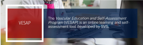 The Vascular Education And Self-Assessment Program (VESAP6) 2024