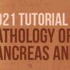USCAP Tutorial in Pathology of the GI Tract, Pancreas and Liver 2021 USCAP Tutorial in Pathology of the GI Tract, Pancreas and Liver 2021