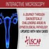 A Journey Through Diagnostically Challenging Areas in Gynecologic Pathology Updated with New Cases 2019 a journey through diagnostically challenging areas in gynecologic pathology updated with new cases 2019
