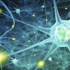 Harvard Neurology for the Non-Neurologist 2022 Harvard Neurology for the Non-Neurologist 2022