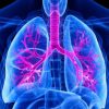 Harvard Pulmonary and Critical Care Medicine 2022 photo 2022 05 12 17 44 22 510x268 1