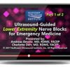 Gulfcoast: Ultrasound-Guided Lower Extremity Nerve Blocks for Emergency Medicine ultrasound guided lower extremity nerve blocks