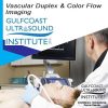 Gulfcoast Ultrasound Institute : Advanced Vascular Ultrasound / DUPLEX / COLOR FLOW ULTRASOUND (On-Demand Videos) vascular ultrasound