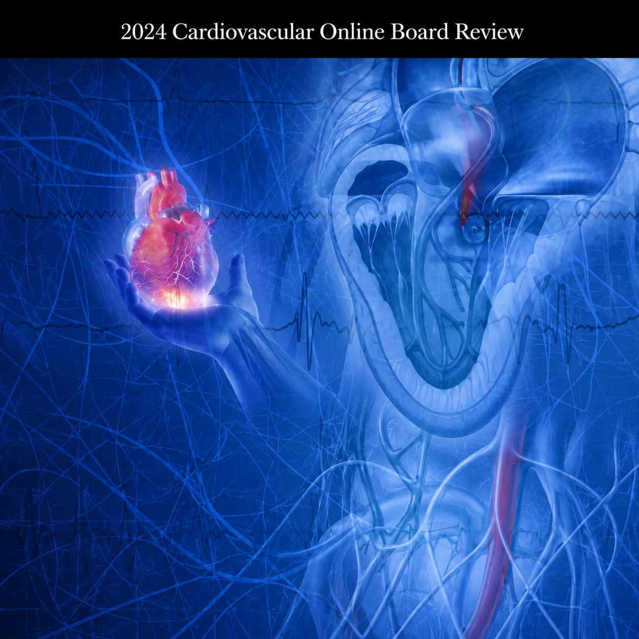 Mayo Clinic 2024 Cardiovascular Online Board Review (Videos + Slides) Mayo Clinic 2024 Cardiovascular Online Board Review (Videos + Slides)