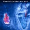 Mayo Clinic Cardiovascular Online Board Review 2023 (Videos+Slides PDF) Mayo Clinic Cardiovascular Online Board Review 2023 (Videos+Slides PDF)