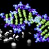 Mayo Clinic Integrating Pharmacogenomics into Clinical Practice: Certificate Program 2022 (Videos + Assessment Quiz)