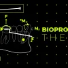 OHI-S BioProgressive Orthodontics Robert Ricketts Concept
