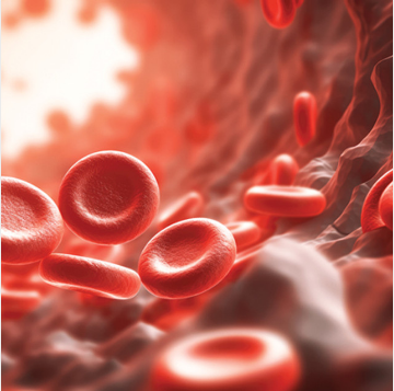 The Brigham and Dana-Farber Board Review and Comprehensive Update in Hematology 2025 (Videos + Slides) The Brigham and Dana-Farber Board Review and Comprehensive Update in Hematology 2025 (Videos + Slides)