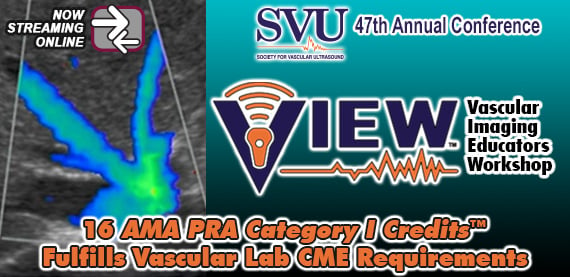 Vascular Imaging Educators Workshop (VIEW) 2025 (Videos) Vascular Imaging Educators Workshop (VIEW) 2025 (Videos)