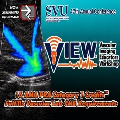 Vascular Imaging Educators Workshop (VIEW) 2025 (Videos)