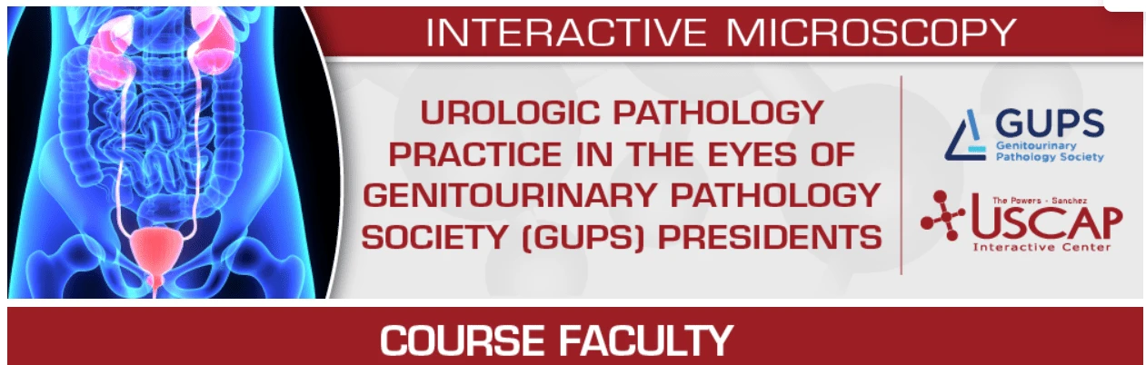 USCAP Urologic Pathology Practice in the Eyes of Genitourinary Pathology Society (GUPS) Presidents 2025 USCAP Urologic Pathology Practice in the Eyes of Genitourinary Pathology Society (GUPS) Presidents 2025