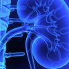 Nationwide Children Kidney and Urinary Tract Symposium State of the Art in Pediatric UTI 2025