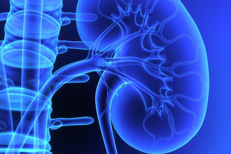 Nationwide Children Kidney and Urinary Tract Symposium State of the Art in Pediatric UTI 2025 Nationwide Children Kidney and Urinary Tract Symposium State of the Art in Pediatric UTI 2025