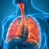 The Brigham Board Review and Comprehensive Update in Pulmonary Medicine 2025 (Videos + Slides) The Brigham Board Review and Comprehensive Update in Pulmonary Medicine 2025 (Videos + Slides)