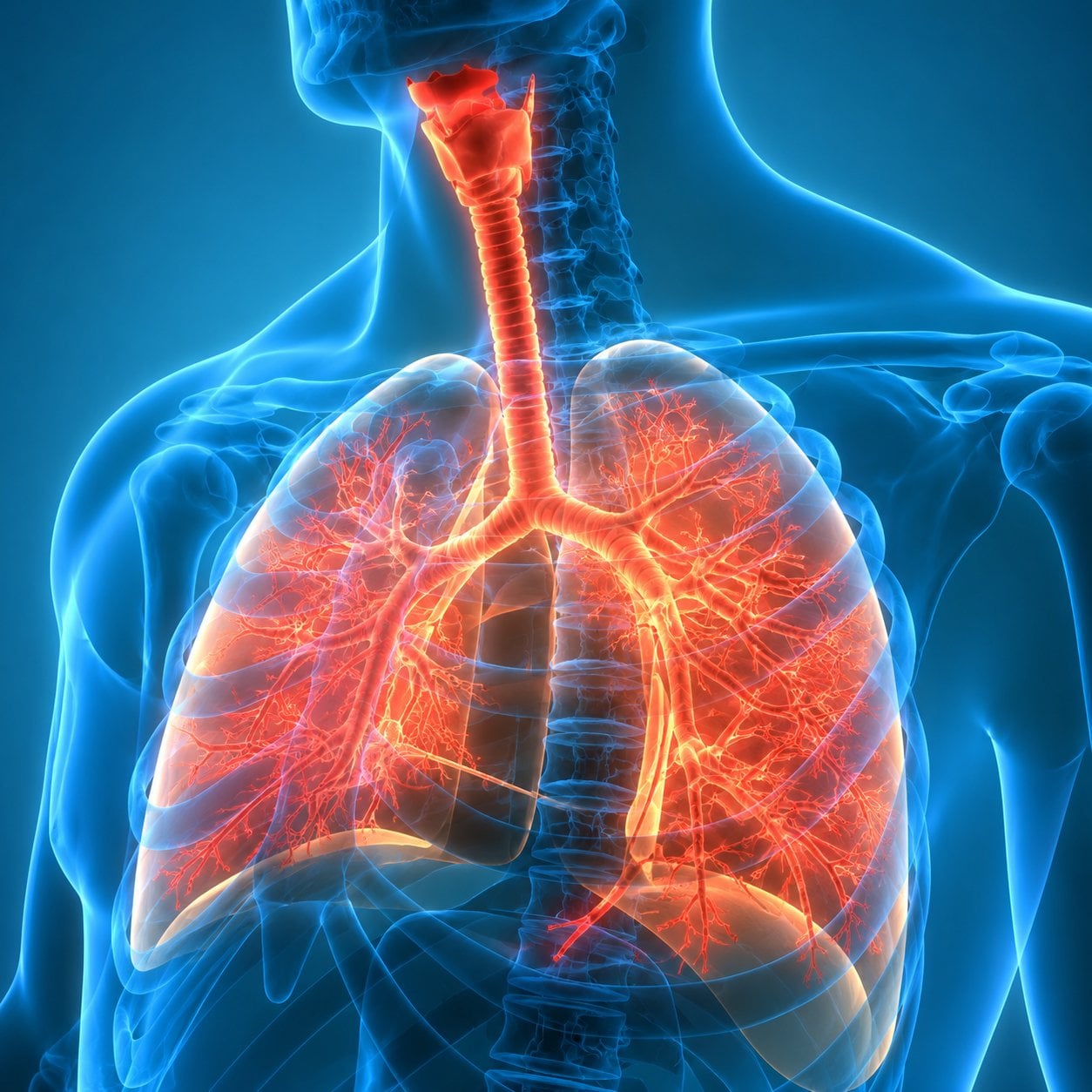 The Brigham Board Review and Comprehensive Update in Pulmonary Medicine 2025 (Videos + Slides) The Brigham Board Review and Comprehensive Update in Pulmonary Medicine 2025 (Videos + Slides)