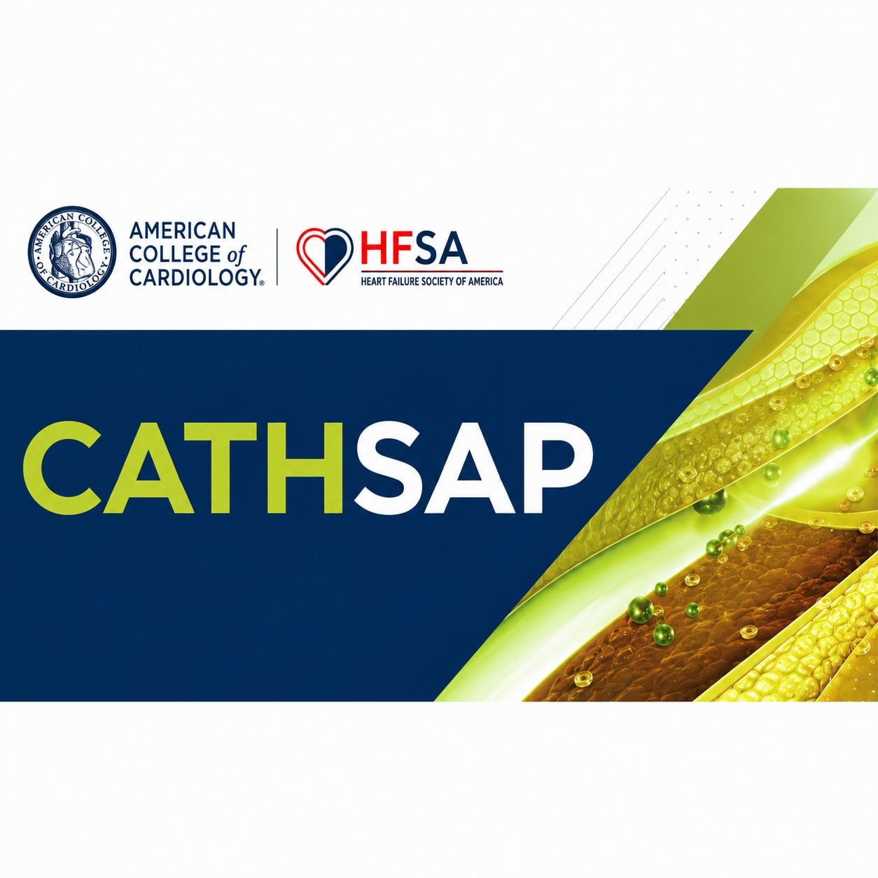 CathSAP 2025 – Updated February 2025 (Videos + Audios + Slides + Quiz) CathSAP 2025 – Updated February 2025 (Videos + Audios + Slides + Quiz)