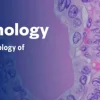 Head & Neck Pathology – The Pathology of Neoplastic Diseases 2025 (Videos with subtitles + Slides) Head & Neck Pathology – The Pathology of Neoplastic Diseases 2025 (Videos with subtitles + Slides)
