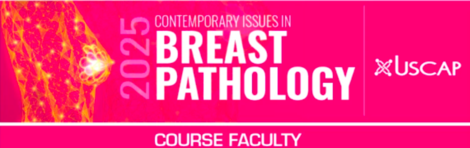 2025 Contemporary Issues in Breast Pathology (USCAP) (Videos + Slides) 2025 Contemporary Issues in Breast Pathology (USCAP) (Videos + Slides)