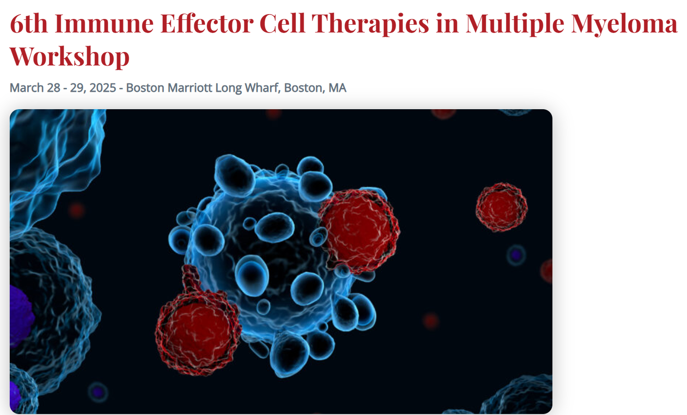 International Myeloma Society 6th Immune Effector Cell Therapies in Multiple Myeloma Workshop 2025 International Myeloma Society 6th Immune Effector Cell Therapies in Multiple Myeloma Workshop 2025